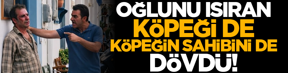 Oğlunu ısıran köpeği de köpeğin sahibini de dövdü!