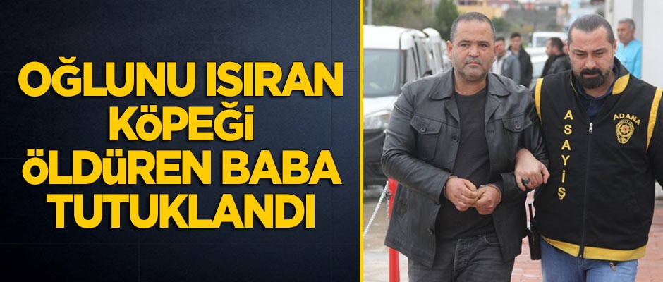 Oğlunu ısıran köpeği öldüren baba tutuklandı
