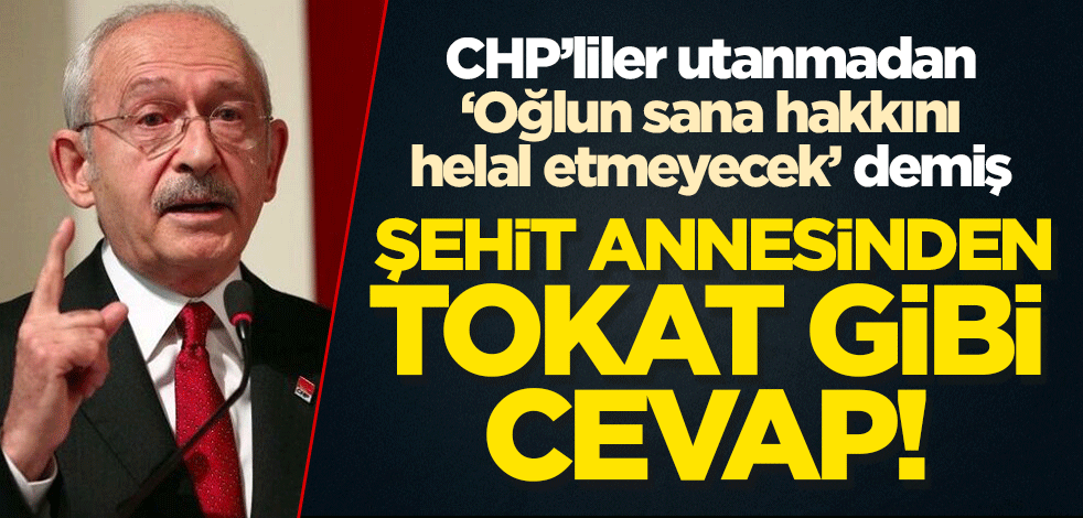 "Oğlunuz size hakkını helal etmeyecek" diyen CHP'ye şehit annesinden tokat gibi cevap!