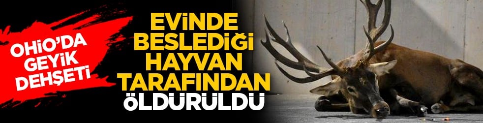 Ohio’da geyik dehşeti: Evinde beslediği hayvan tarafından öldürüldü