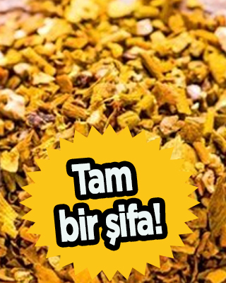 Ökse otu nedir? Faydaları nelerdir? İflas eden vücuda tam bir şifa: Epilepsiye en iyi ilaç! Ökseotu felci önlüyor