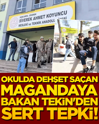 Okulda dehşet saçan magandaya Bakan Tekin'den sert tepki!