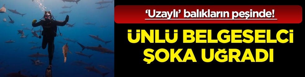 Okyanusun derinliklerinde yola çıktı: Belgeselci 'uzaylı' balık ararken köpekbalığı gördü şoka uğradı