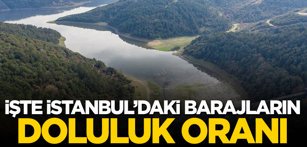 Ölçüldü! İşte İstanbul'daki barajların doluluk oranı