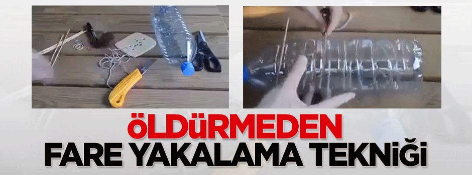 Öldürmeden fare yakalama tekniği - VIDEO