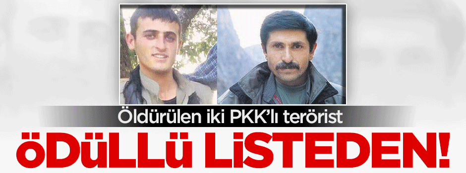 Öldürülen 2 terörist ödüllü listedenmiş