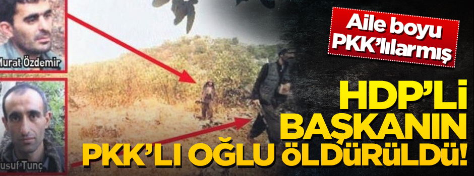 Öldürülen PKK'lı terörist HDP'li başkanın oğlu çıktı
