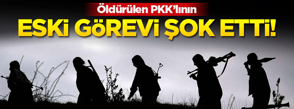 Öldürülen PKK’lının eski görevi şok etti!