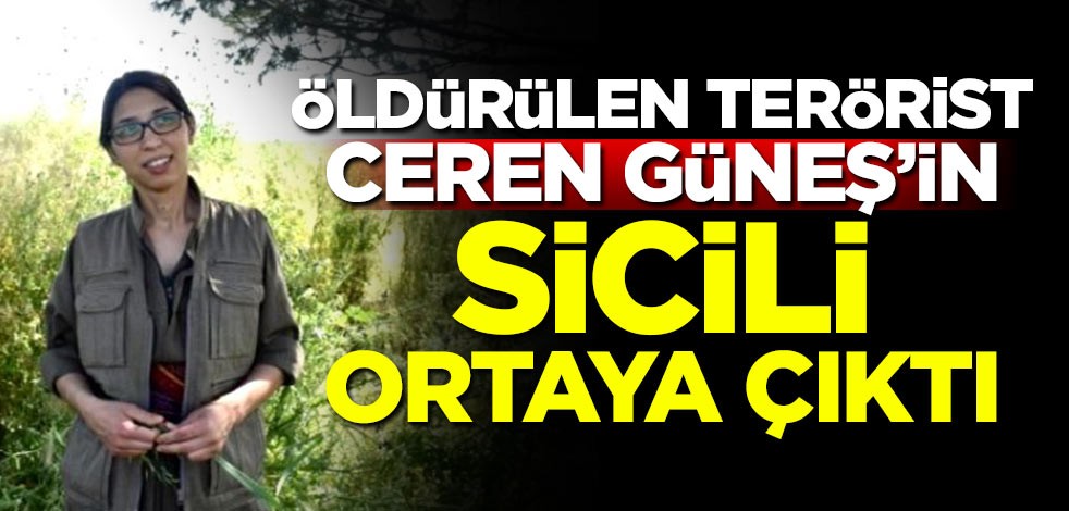 Öldürülen terörist 'Ceren Güneş'in sicili ortaya çıktı