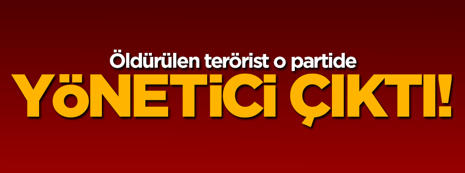 Öldürülen terörist DBP yönetici çıktı