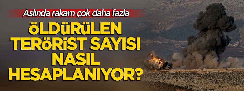 Öldürülen terörist sayısı nasıl hesaplanıyor? Gerçekte sayı çok fazla