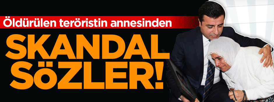 Öldürülen teröristin annesinden skandal sözler!