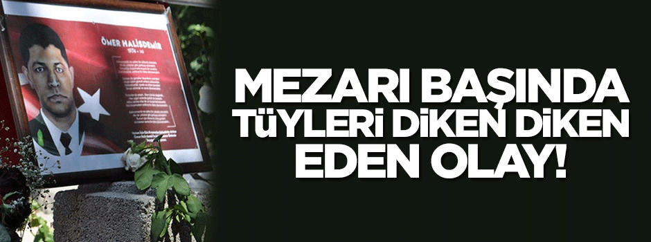 Ömer Halisdemir'in mezarı başında tüyleri diken diken eden olay! Kabrinin yanına uzanmış...