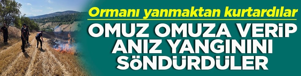 Omuz omuza verip anız yangınını söndürdüler