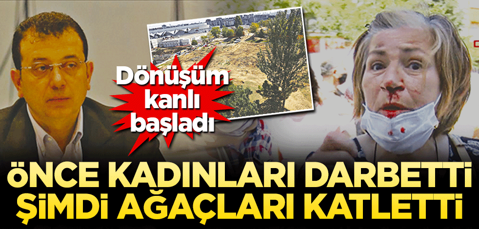 Önce kadınları darbetti şimdi ağaçları katletti