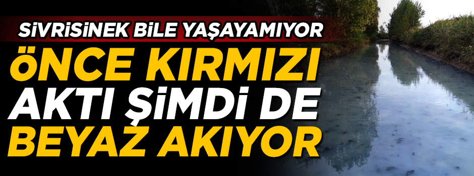 Önce kırımızı aktı, şimdi de beyaz akıyor! Sivrisinek bile yaşayamıyor
