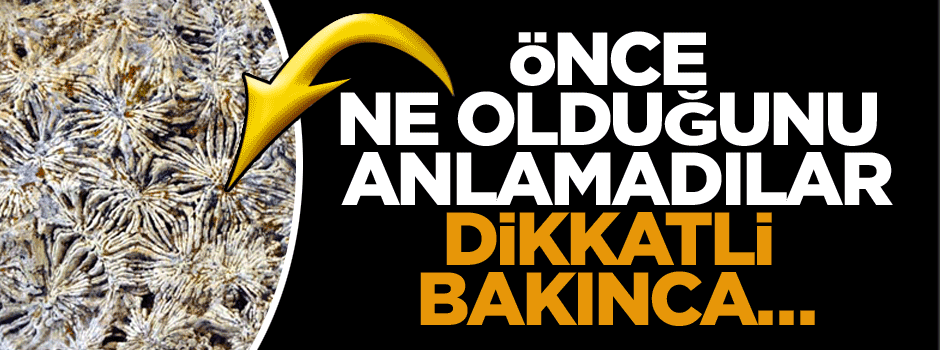Önce ne olduğunu anlamadılar, dikkatli bakınca…