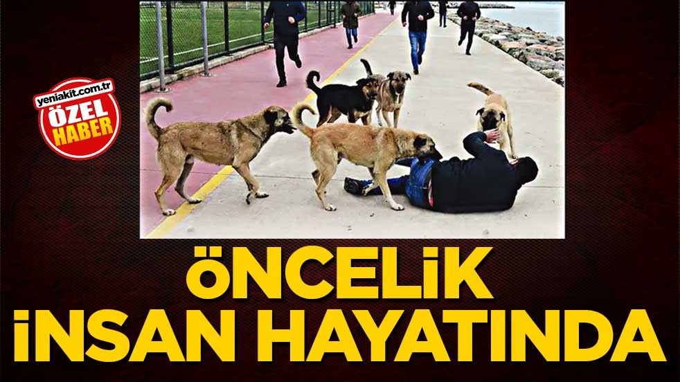 Öncelik insan hayatında