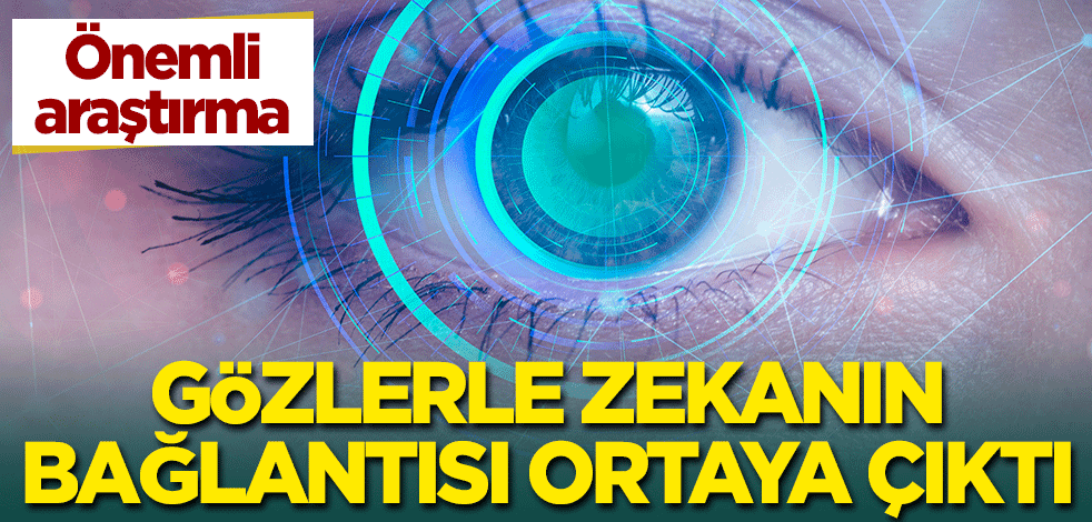 Önemli araştırma: Gözler ile zekanın bağlantısı ortaya çıktı!