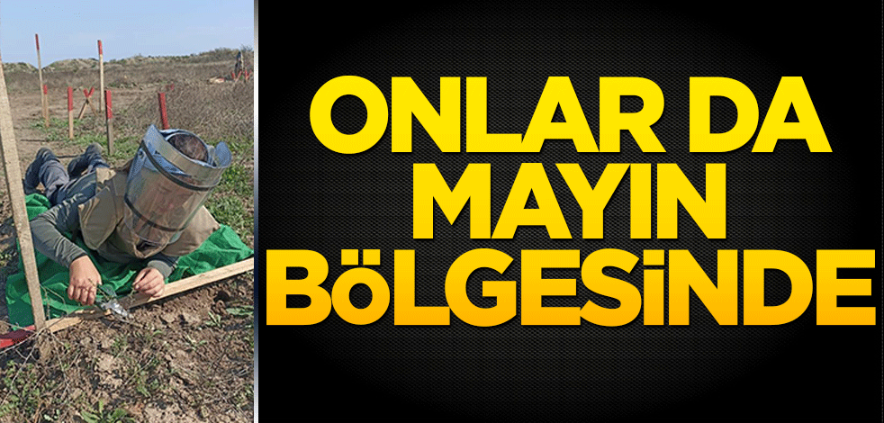 Onlar da mayın bölgesinde!