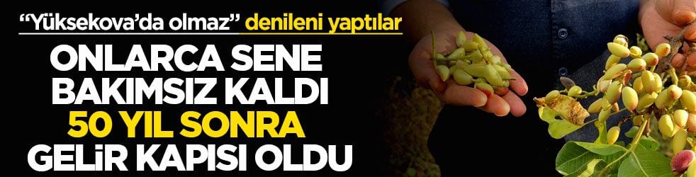 Onlarca sene bakımsız kaldı, 50 yıl sonra gelir kapısı oldu! "Yüksekova’da olmaz" denileni yaptılar