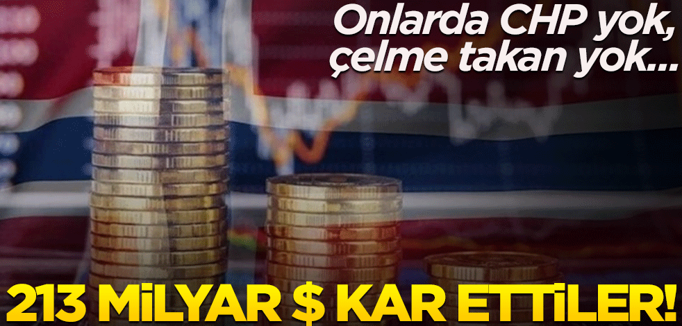 Onlarda CHP yok, çelme takan yok... 213 milyar $ kar ettiler!