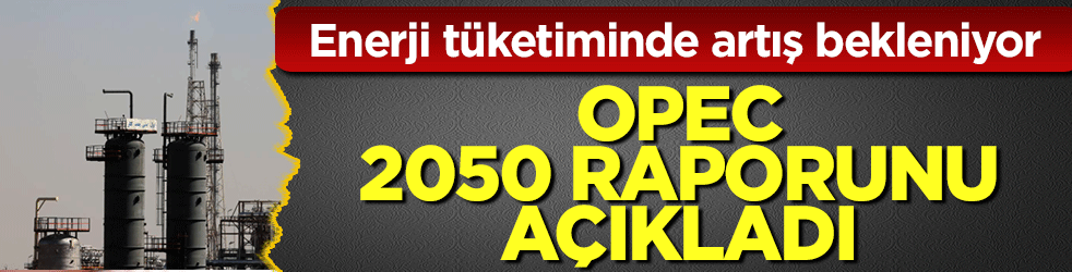 OPEC 2050 raporunu açıkladı! Enerji tüketiminde artış bekleniyor
