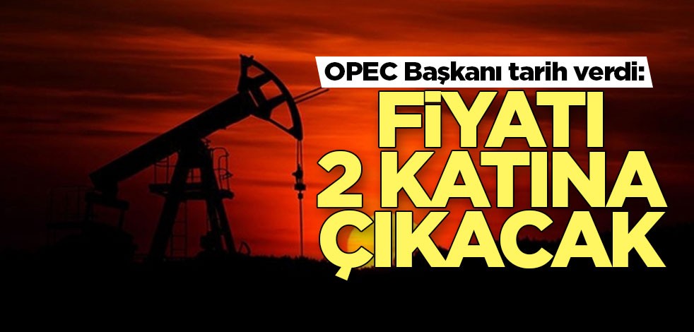 OPEC Başkanı: Petrolün fiyatı 2 katına çıkacak
