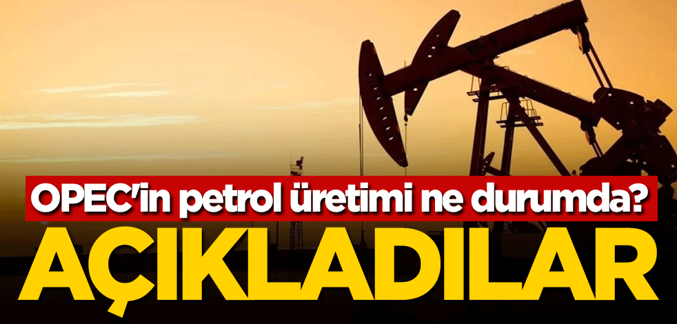 OPEC'in petrol üretimi ne durumda? Açıkladılar