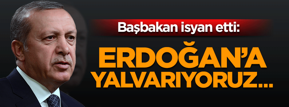 Orban: Erdoğan'a yalvarıyoruz