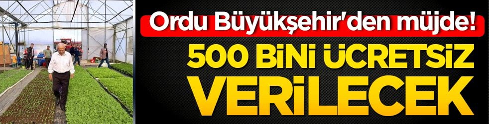 Ordu Büyükşehir'den müjde! 500 bini ücretsiz verilecek