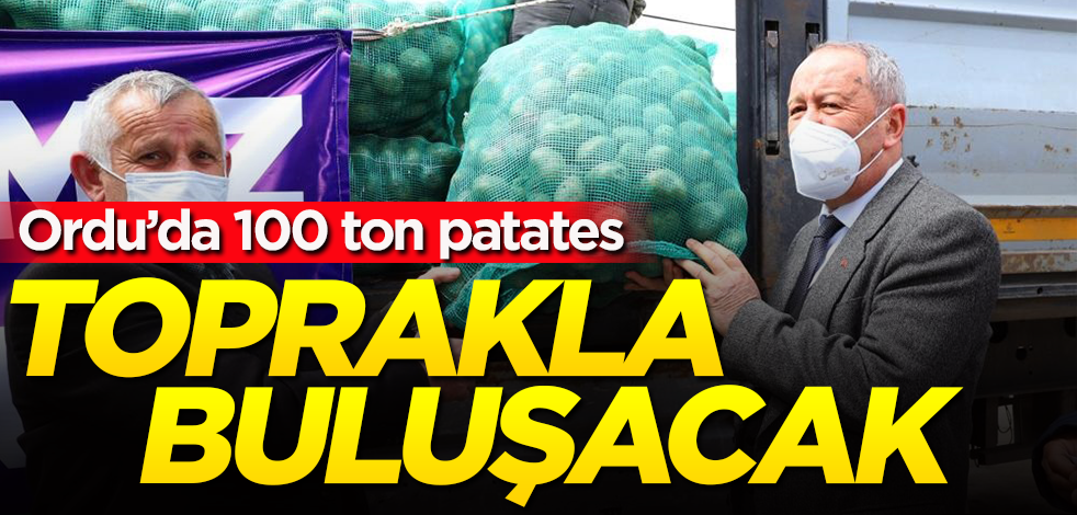 Ordu’da 100 ton patates toprakla buluşacak