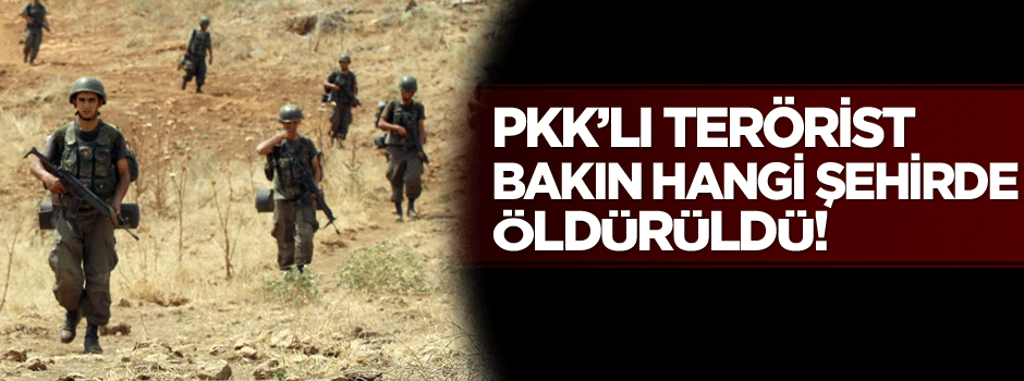 Ordu'da bir terörist etkisiz hale getirildi