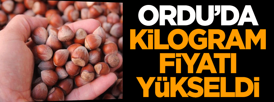 Ordu'da fındığın kilogram fiyatı yükseldi