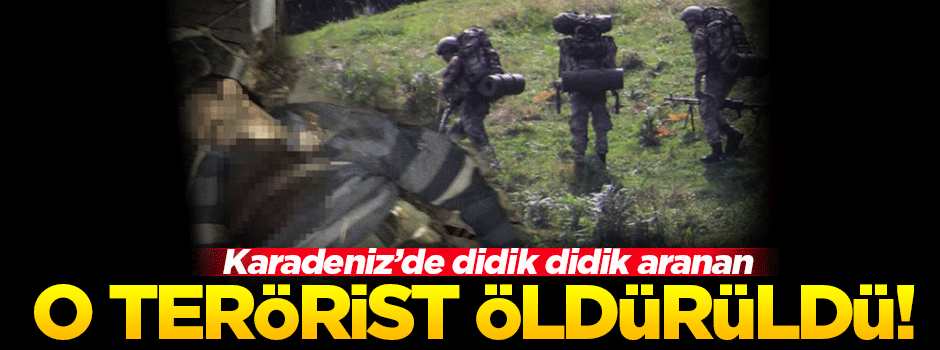 Karadeniz'de didik didik aranan terörist Ordu'da öldürüldü