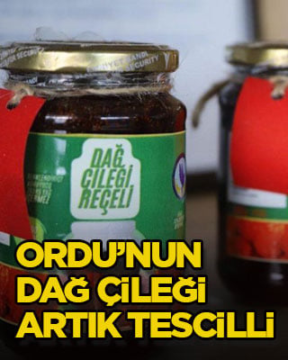 Ordu’nun dağ çileği artık tescilli