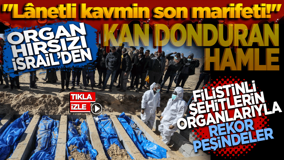 Organ hırsızı İsrail’den kan donduran hamle: Filistinli şehitlerin organlarıyla rekor peşindeler!