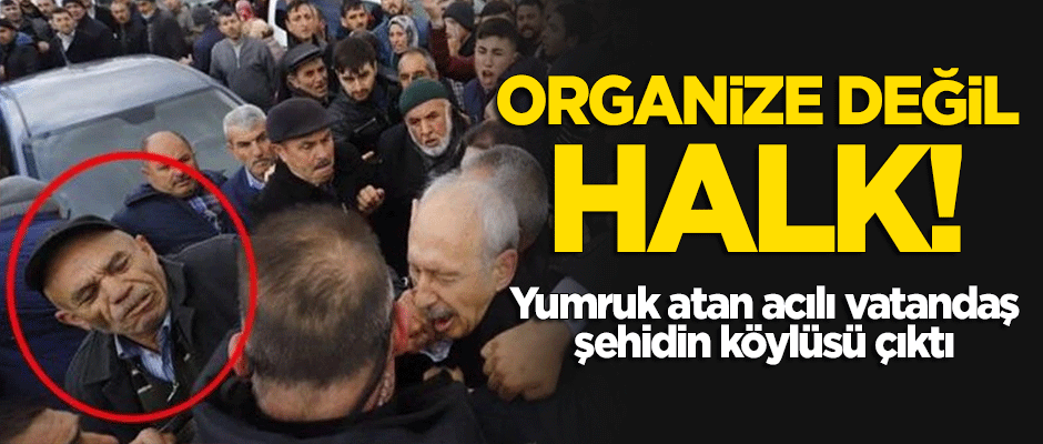 Organize değil halk! Yumruk atan şahıs şehidin köylüsü çıktı