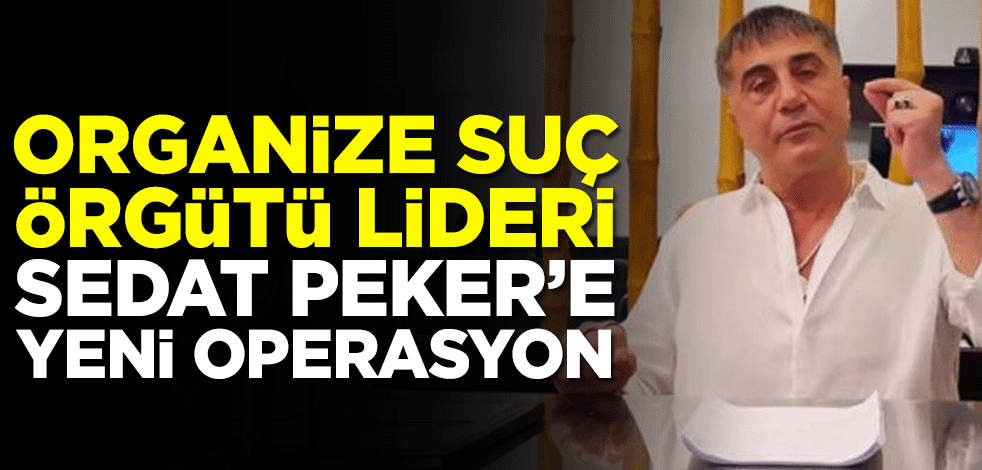 Organize suç örgütü lideri Sedat Peker'e yeni operasyon