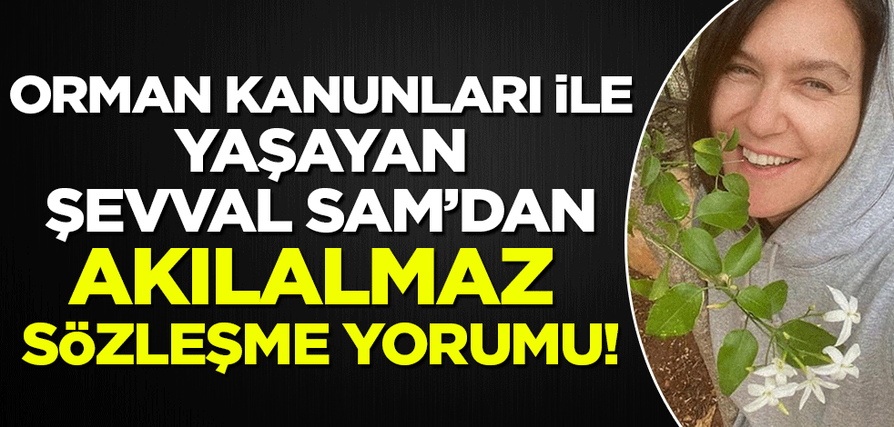 Orman kanunları ile yaşayan Şevval Şam'dan akılalmaz sözleşme yorumu!