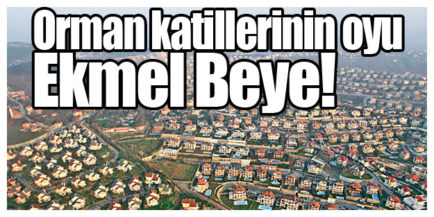 Orman katillerinin oyu Ekmel Beye!