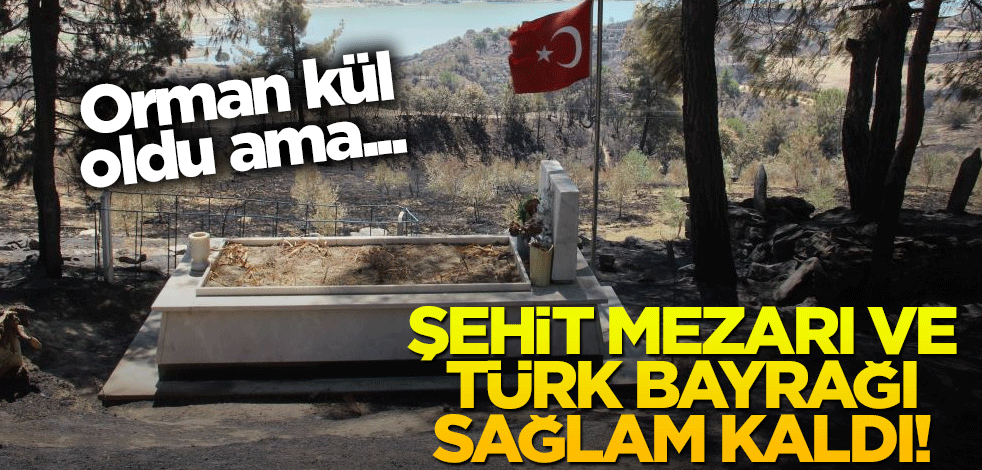 Orman kül oldu, şehit mezarı ve Türk bayrağına hiçbir şey olmadı!