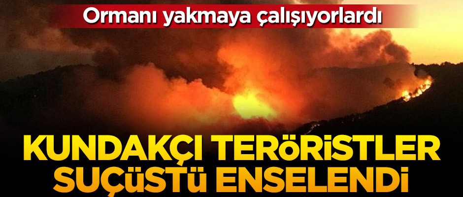 Orman yangını çıkarmaya çalışan teröristler yakalandı