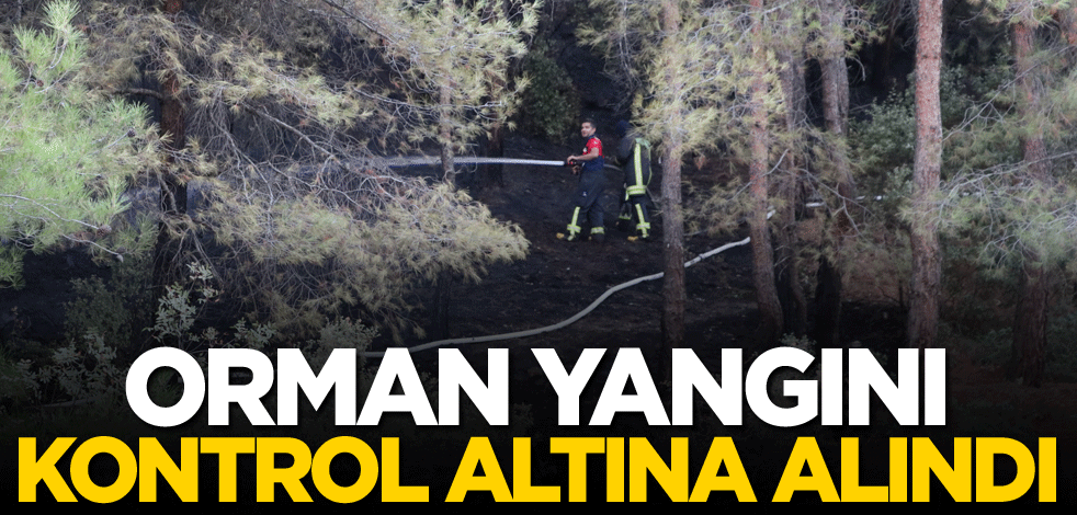 Orman yangını kontrol altına alındı