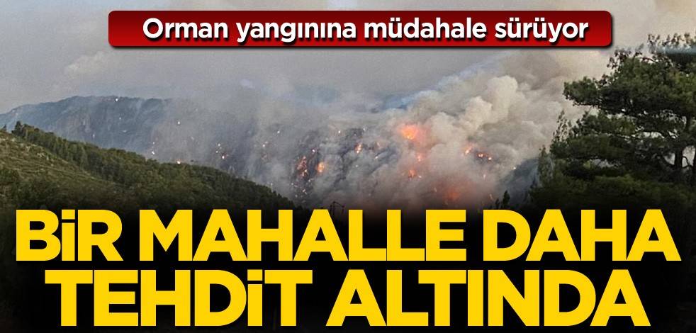 Orman yangınına müdahale sürüyor! Bir mahalle daha tehdit altında