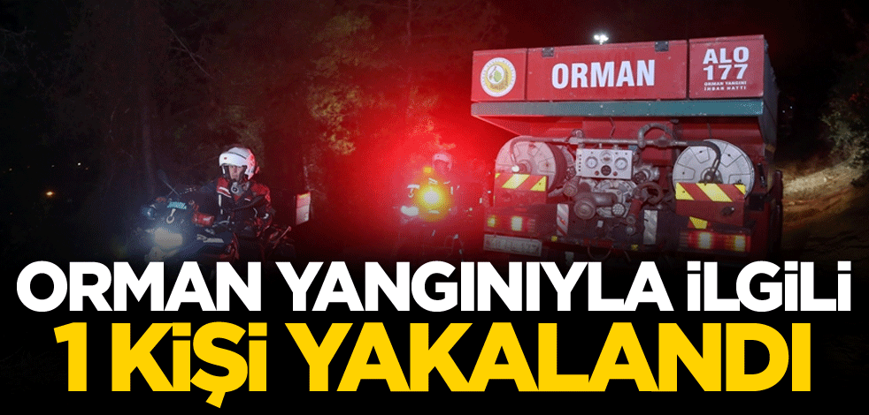 Orman yangınıyla ilgili 1 kişi yakalandı