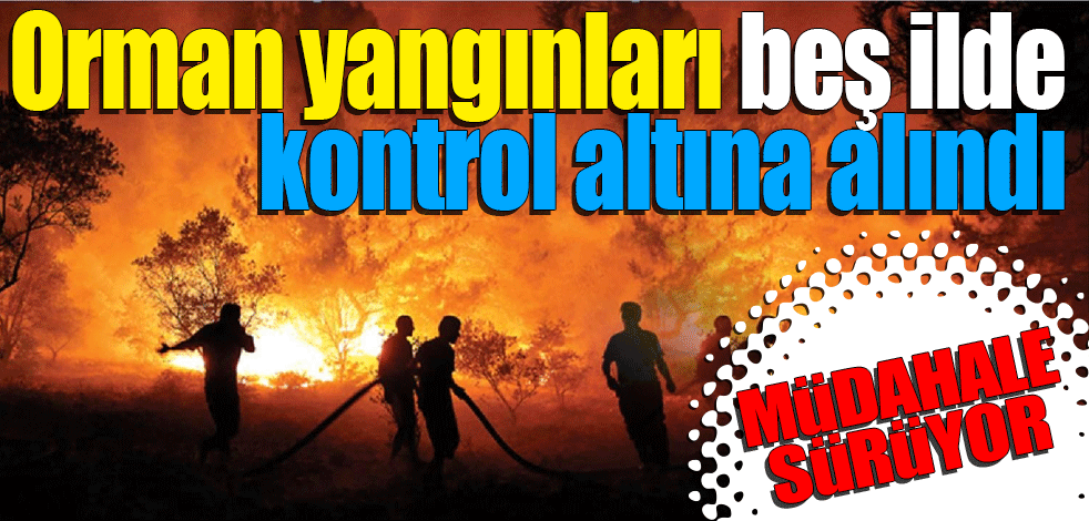 Orman yangınları beş ilde kontrol altına alındı. Müdahaleler sürüyor
