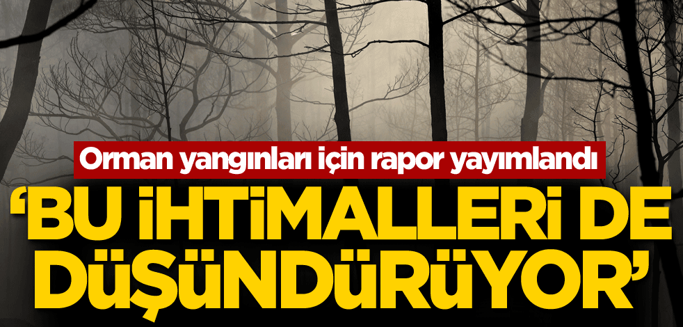 Orman yangınları için rapor yayımlandı! 'Bu ihtimalleri de düşündürüyor'