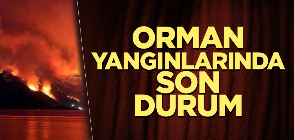 Orman yangınlarında son durum