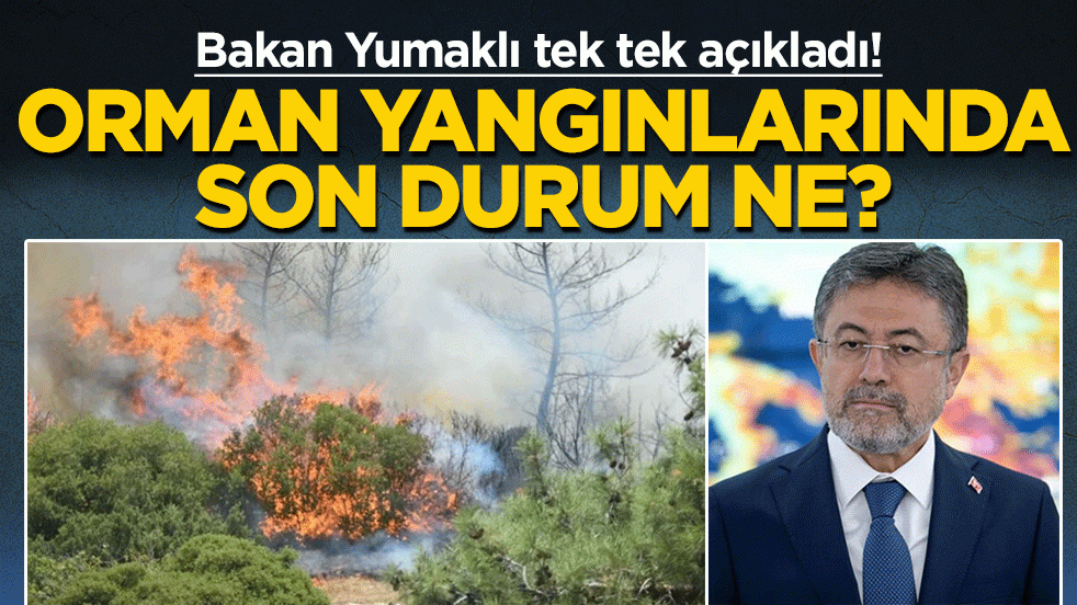Orman yangınlarında son durum ne? Bakan Yumaklı tek tek açıkladı!